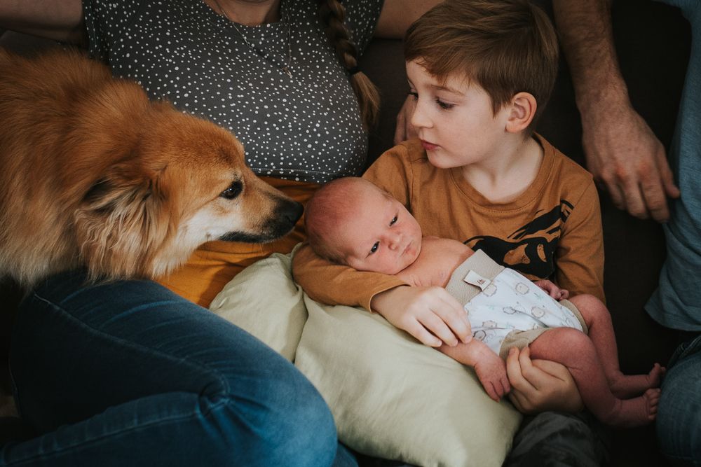 Hund schnüffelt an Baby - Neugeborenenfotos Klagenfurt